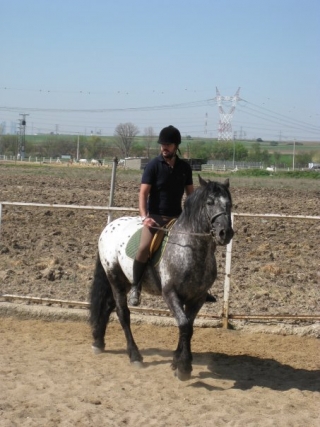 Clases de equitacion